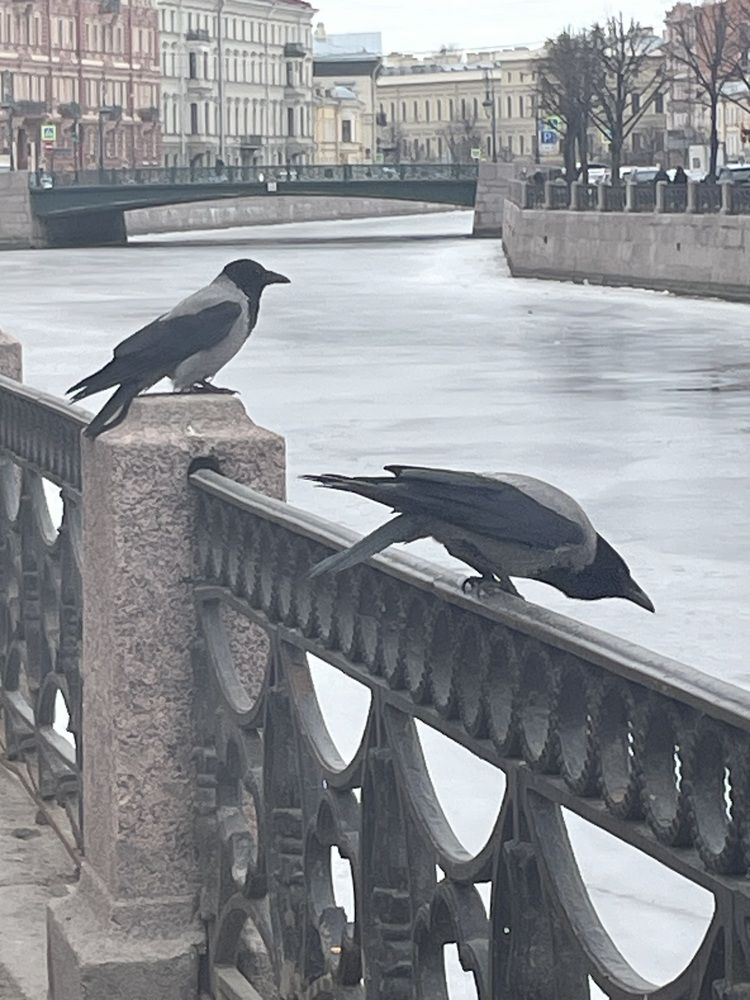 Photograph by Марина Максимова