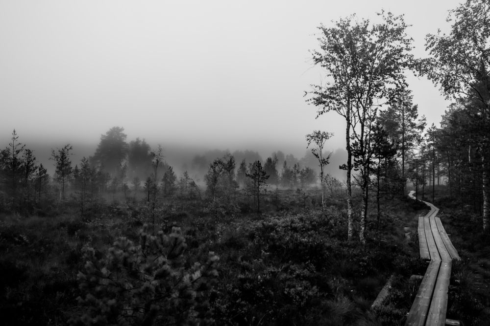 Photograph by mrfudzika 1