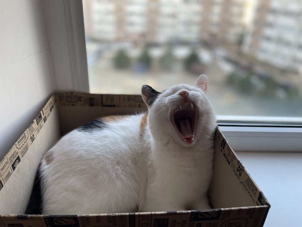 Photograph by Марина Максимова