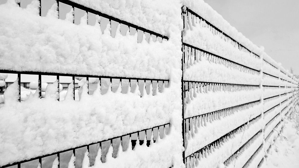 Photograph by Marjo Steffen