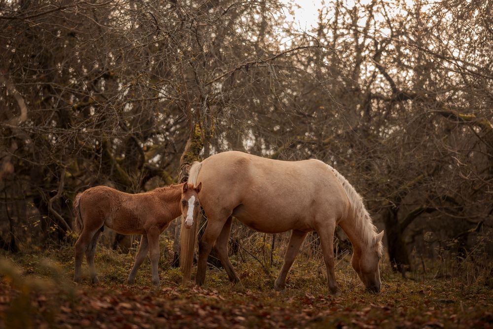 Photograph by Дарья Кончакова