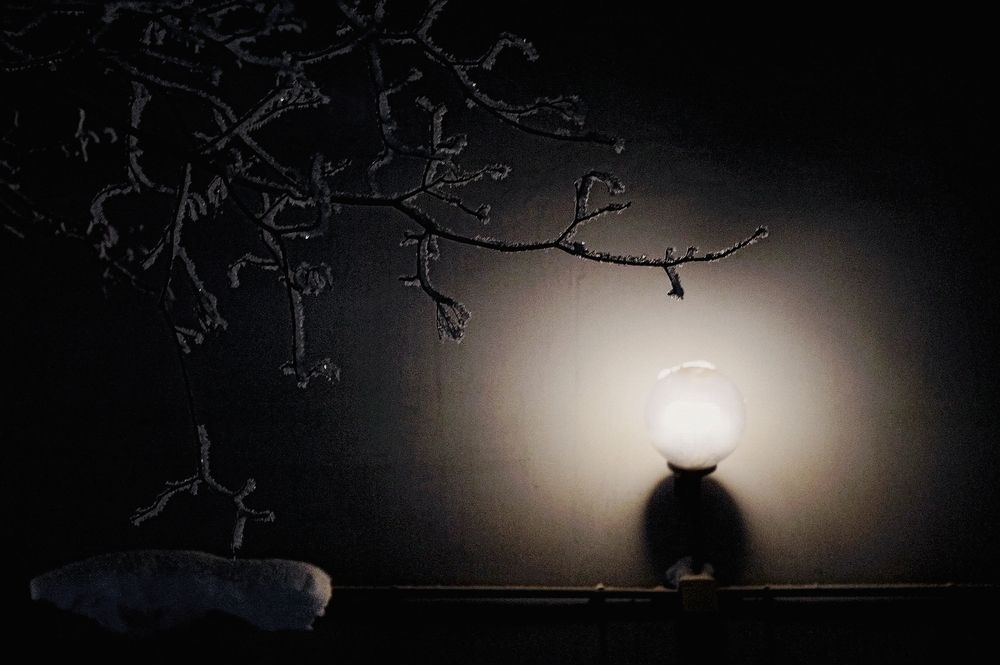 Фотография автора Е лена Е