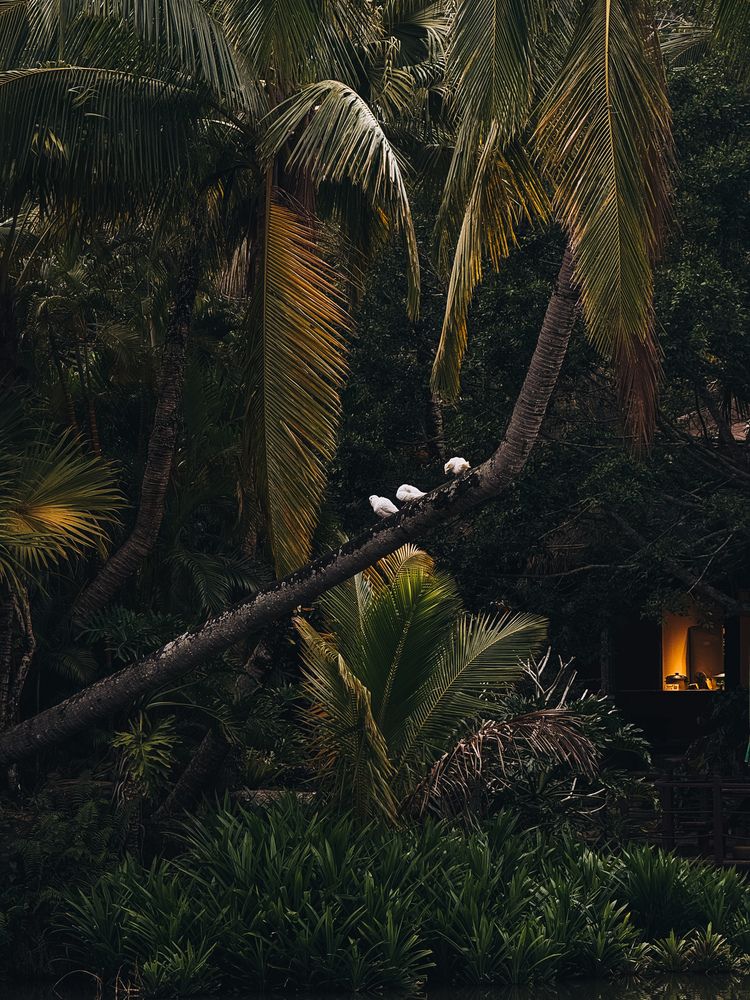 Фотография автора Мария