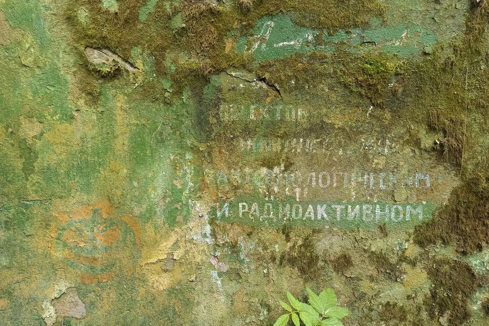 Photograph by Александр Гунин