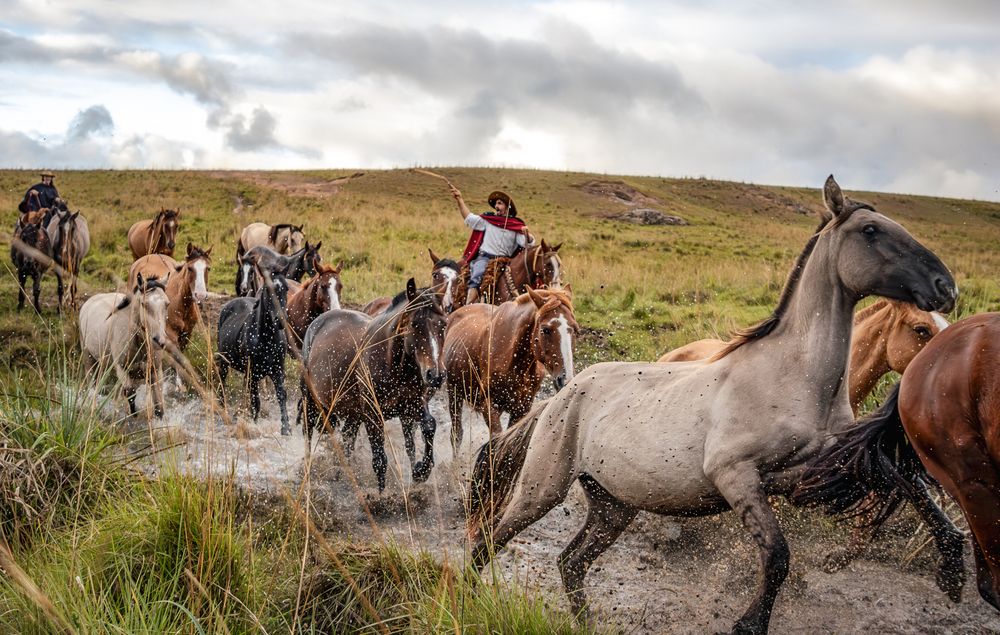 Photograph by Camila Fantinel