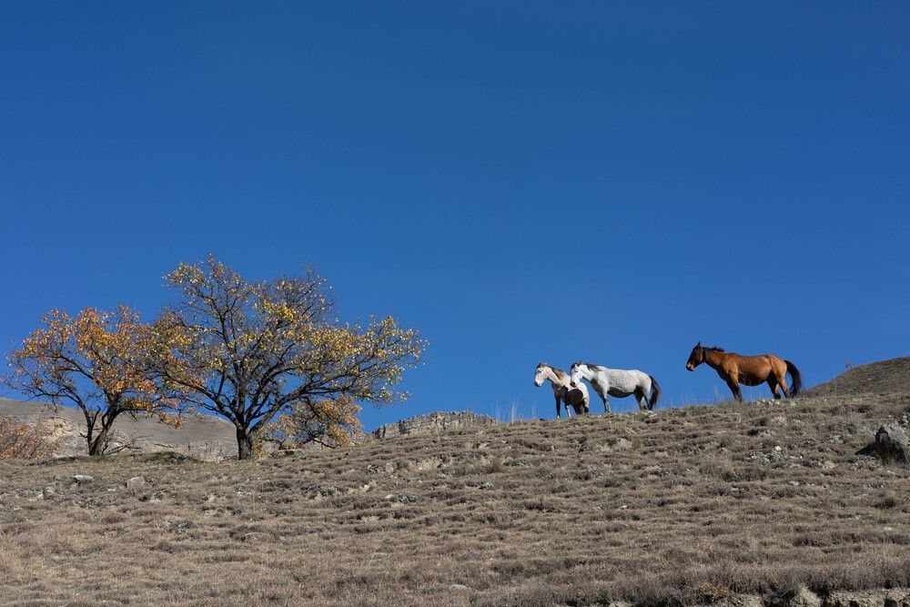 Фотография автора Алина Павлова