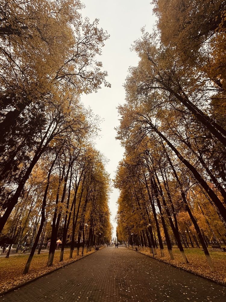 Photograph by Елизавета Павлова