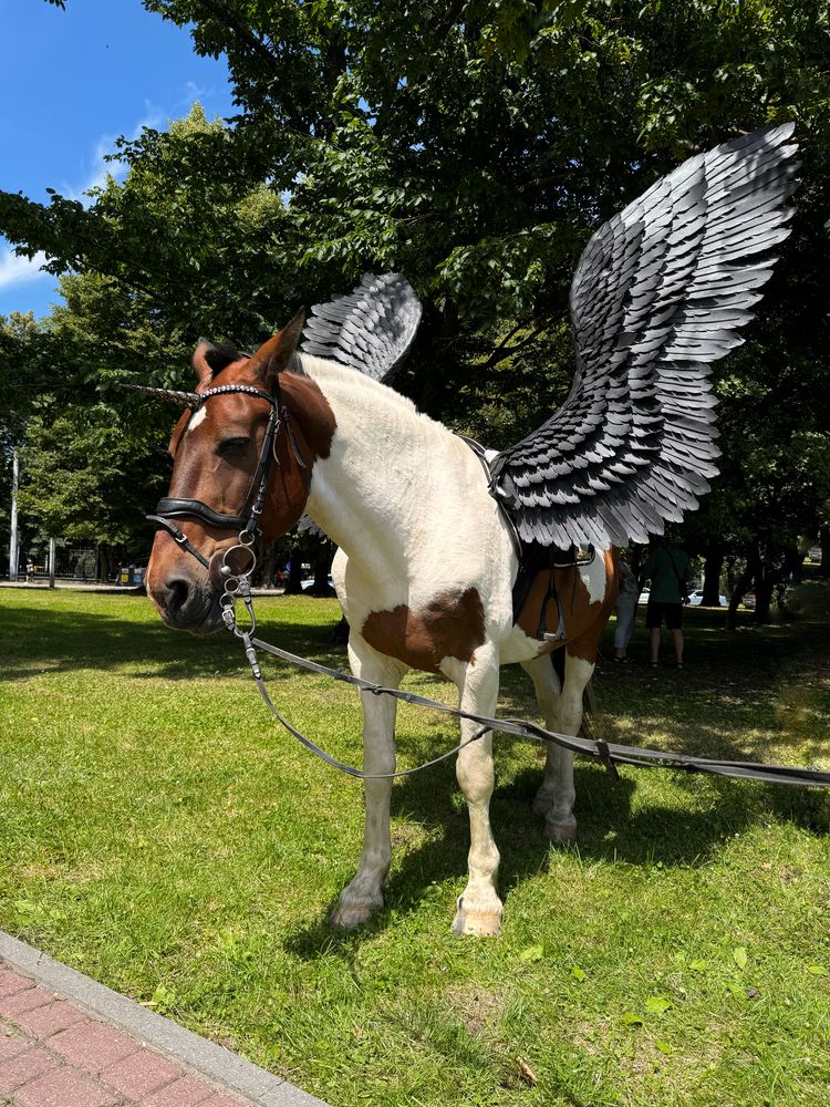 Фотография автора Жанна Колесникова