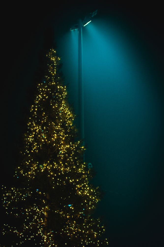 Фотография автора Данил Баглаев