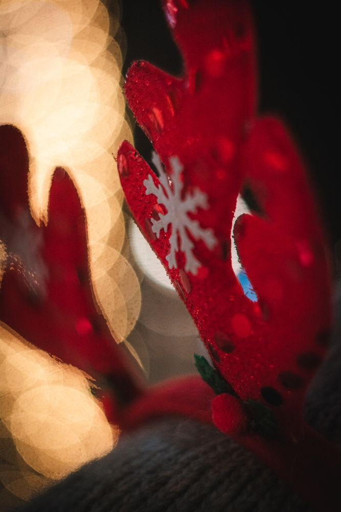 Фотография автора Данил Баглаев