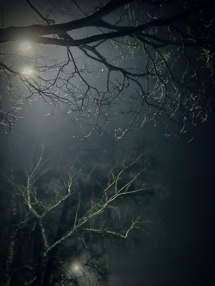 Photograph by Лариса Абрамова