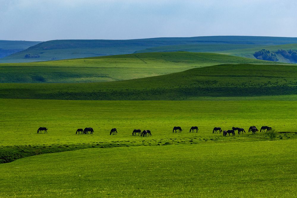 Photograph by Сергей Фомченков