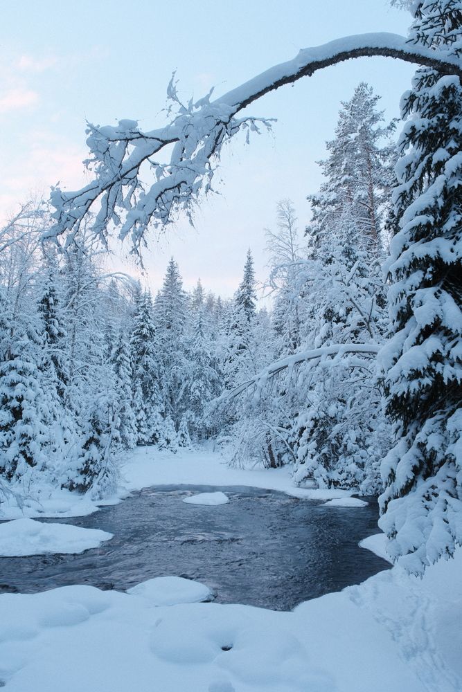 Photograph by Лапшин Алексей