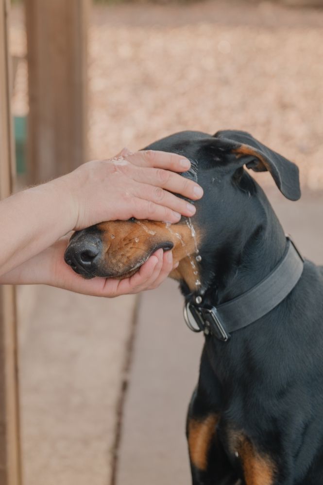 Photograph by Elena Savchuk