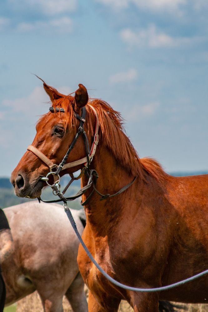 Photograph by Анна Крюкова