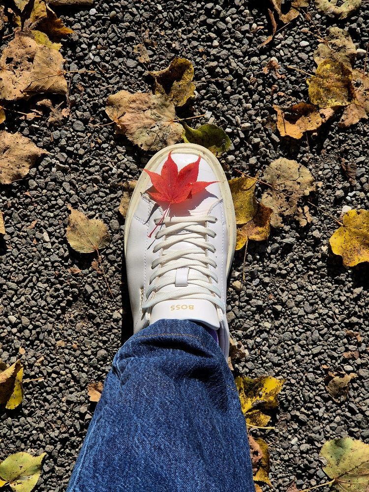 Photograph by Мария Коломиец