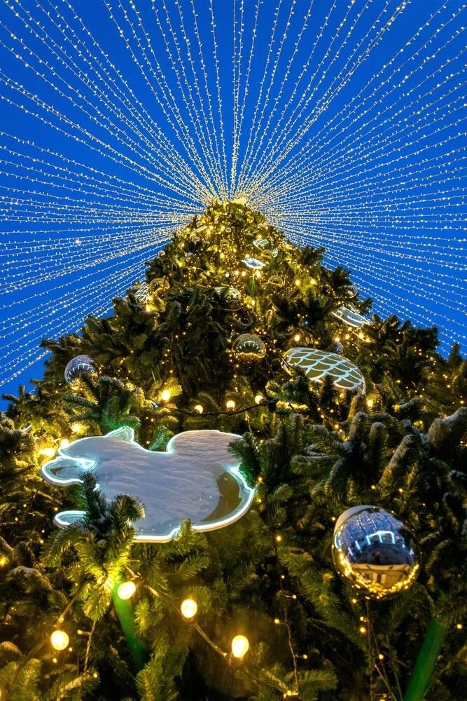 Photograph by Александр П