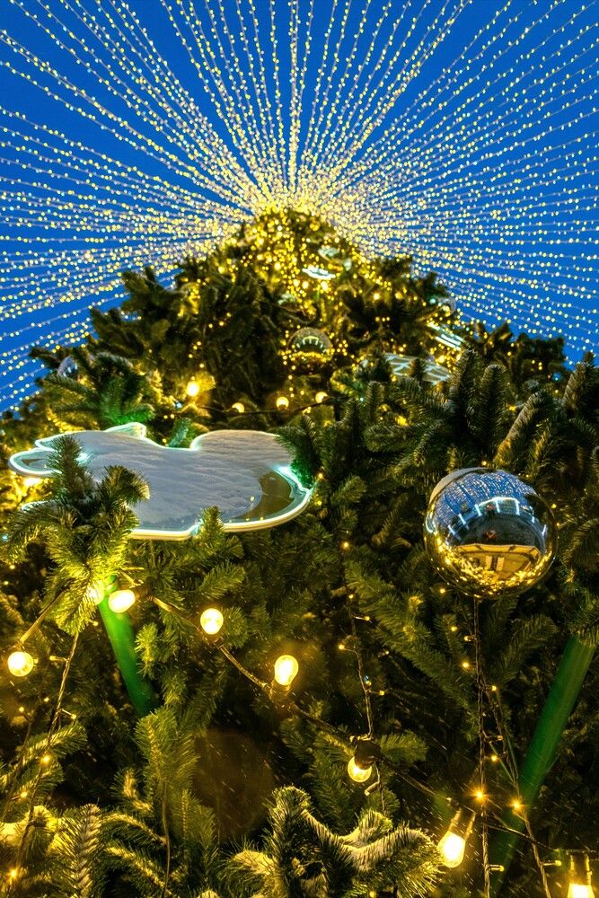 Photograph by Александр П