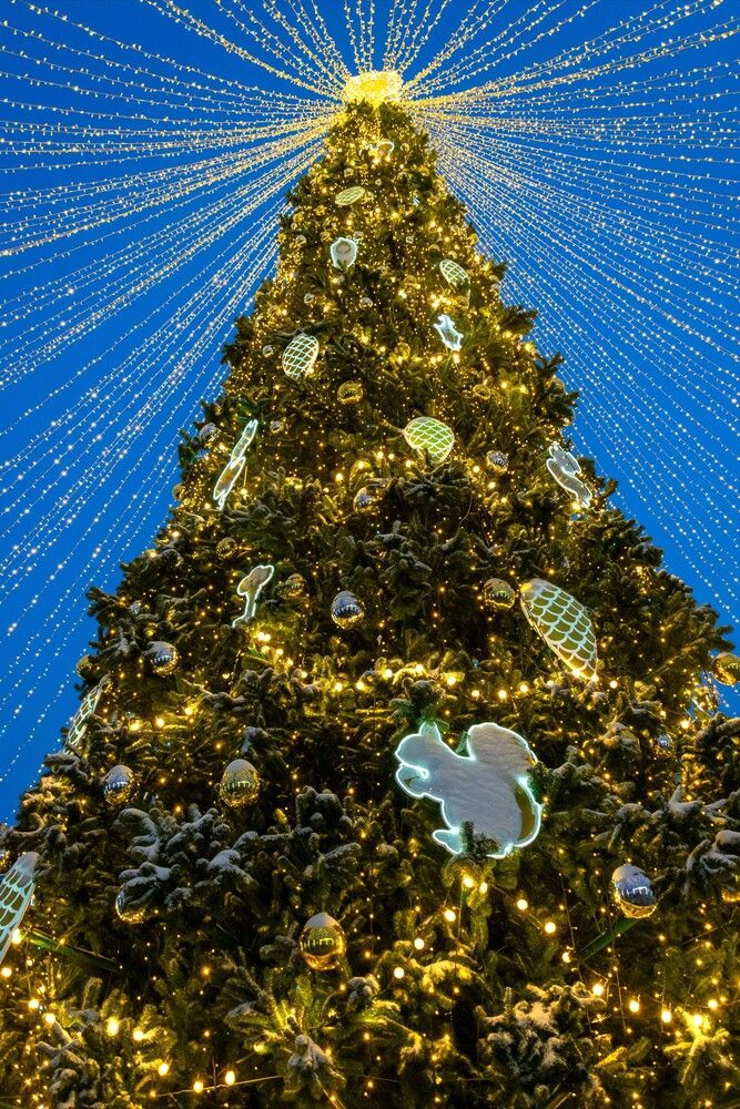 Photograph by Александр П