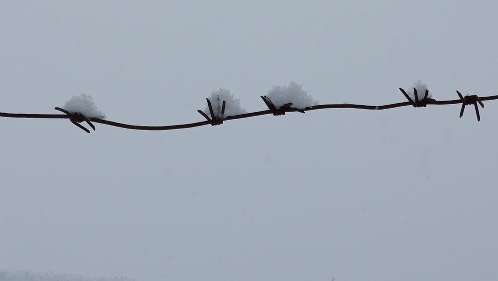 Photograph by Екатерина Казырицкая