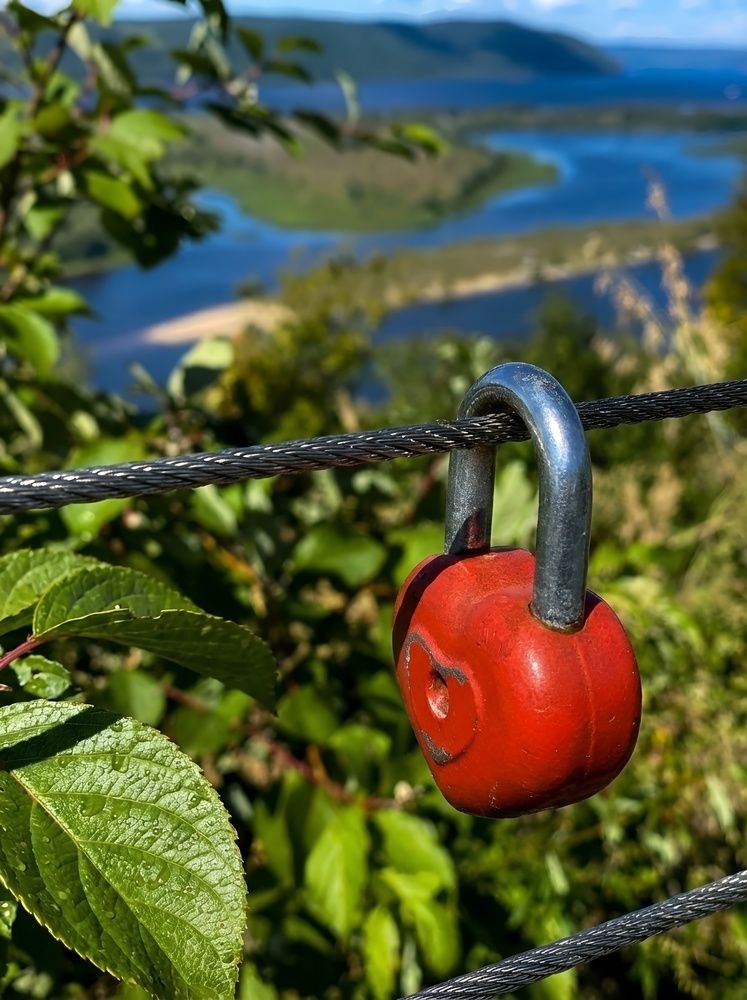 Photograph by Алла Саблина