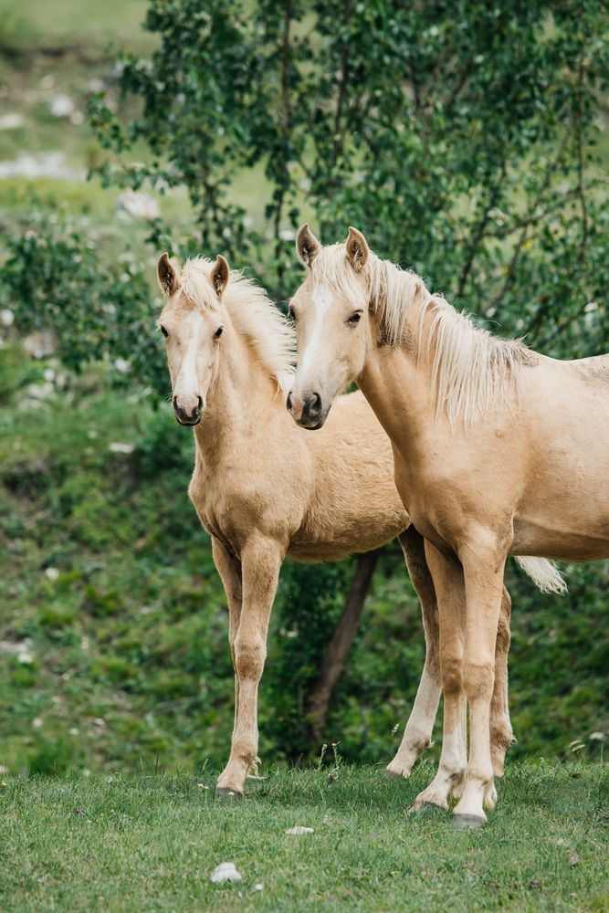 Фотография автора Мария Раздорова