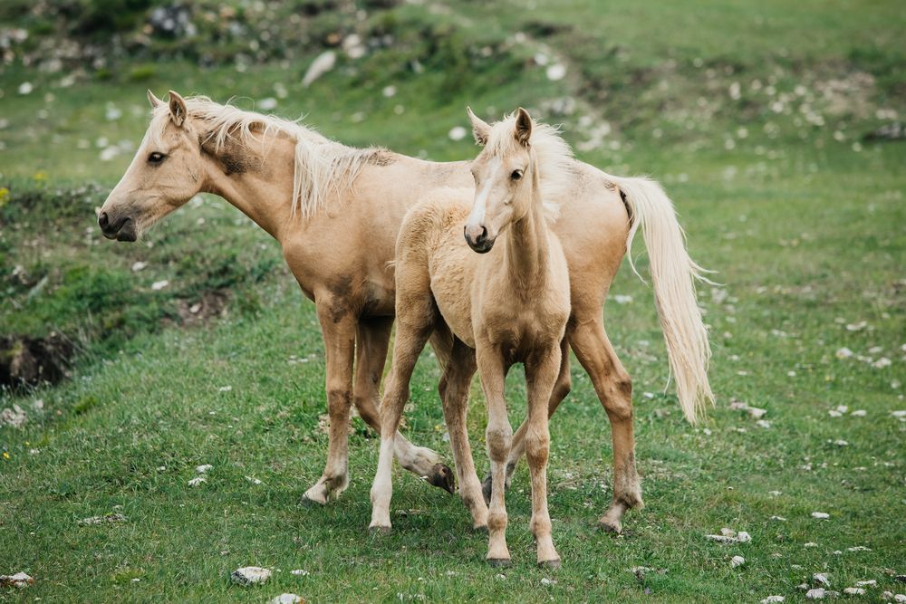 Фотография автора Мария Раздорова