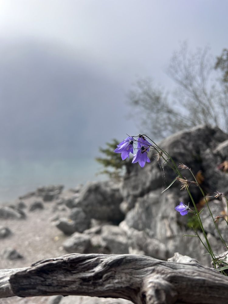 Фотография автора Veronika Lemke