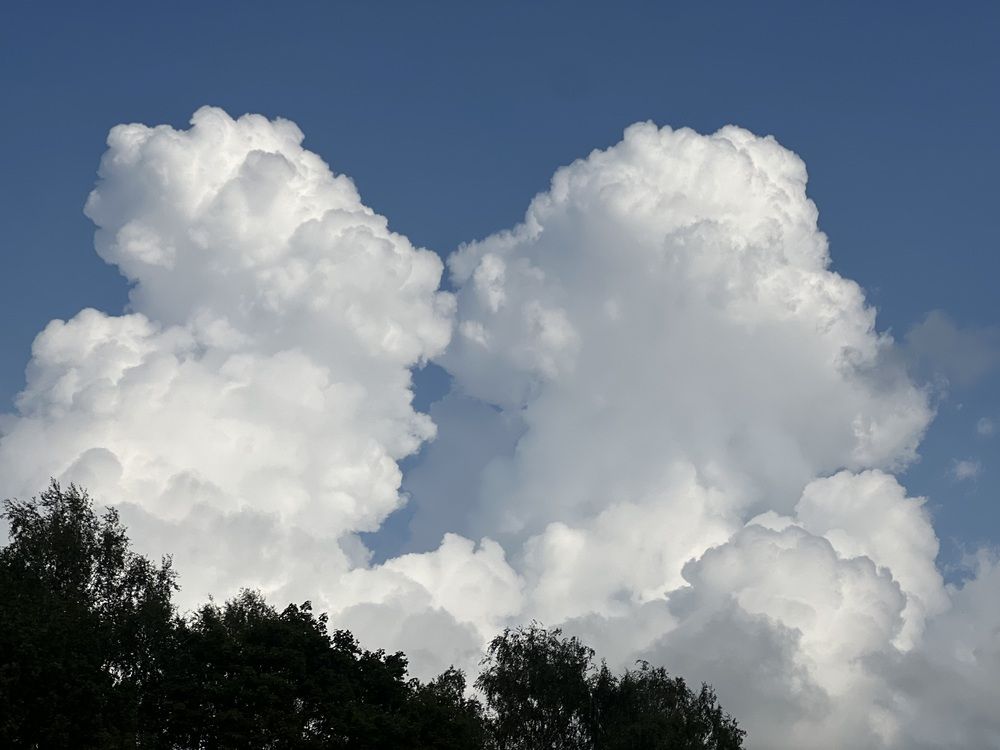 Фотография автора Veronika Lemke