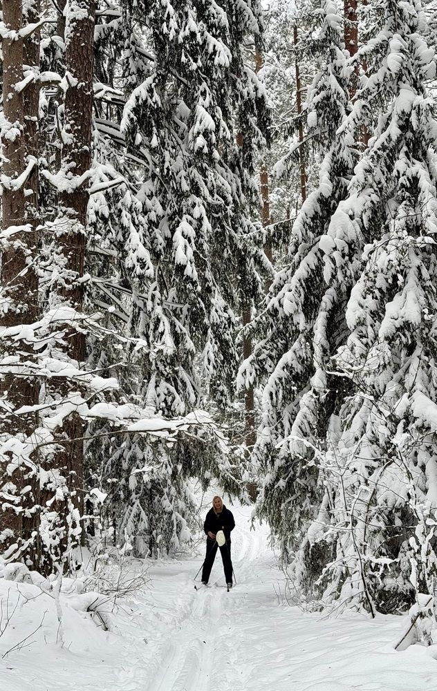 Фотография автора Наталья Гузева