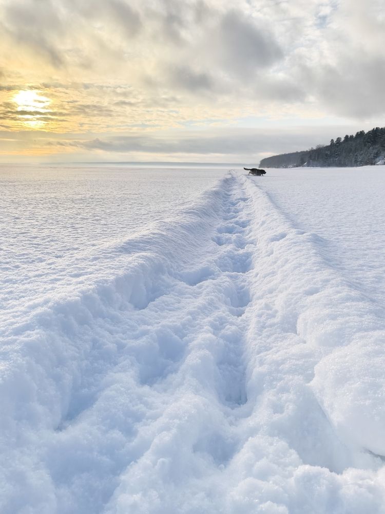 Photograph by Татьяна Пятернёва