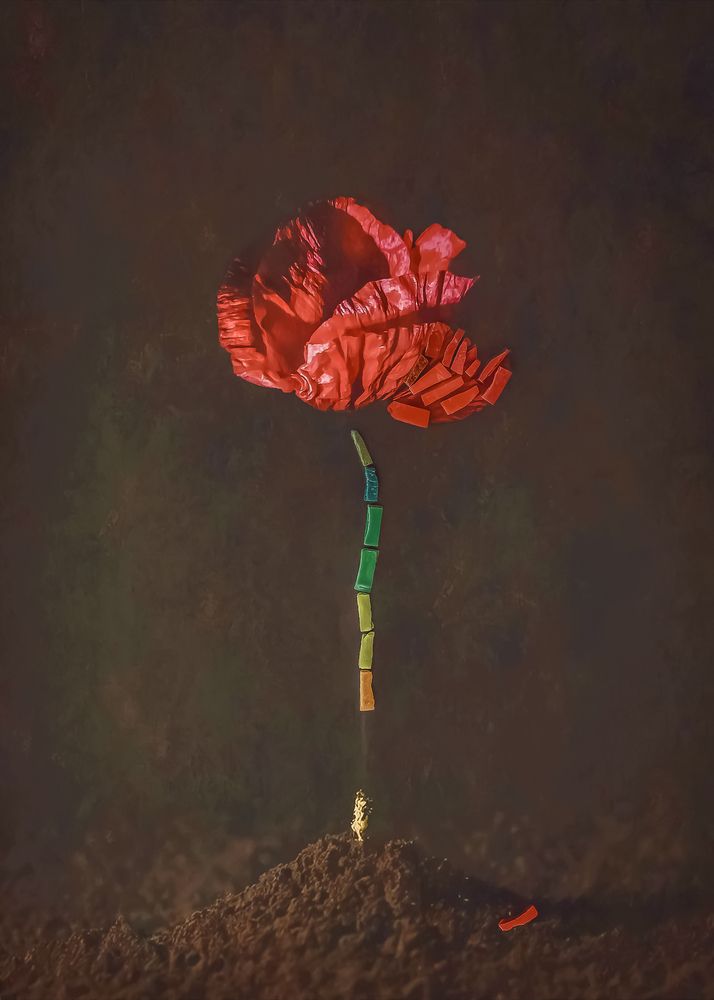 Photograph by Mayya Khrolovich