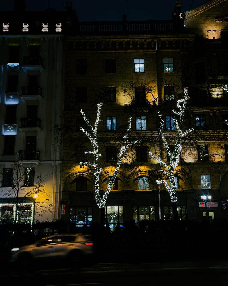 Photograph by Elizabeth Barkovskaya