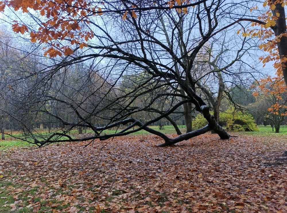 Photograph by Екатерина Супраненок