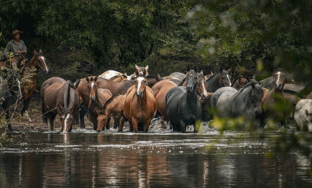 Photograph by Camila Fantinel