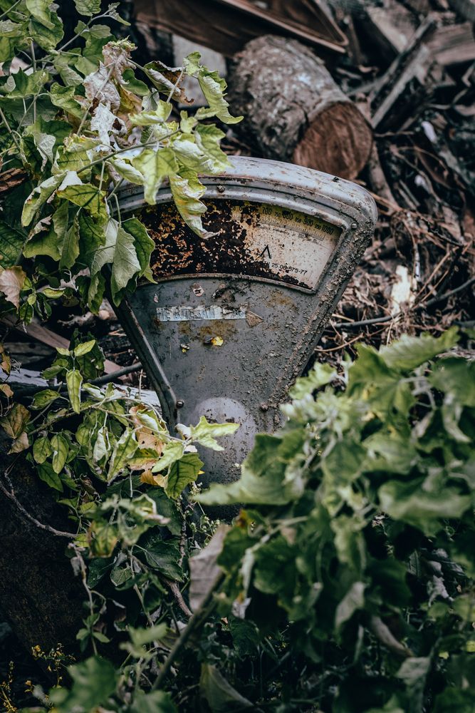 Фотография автора Анна Хабарова