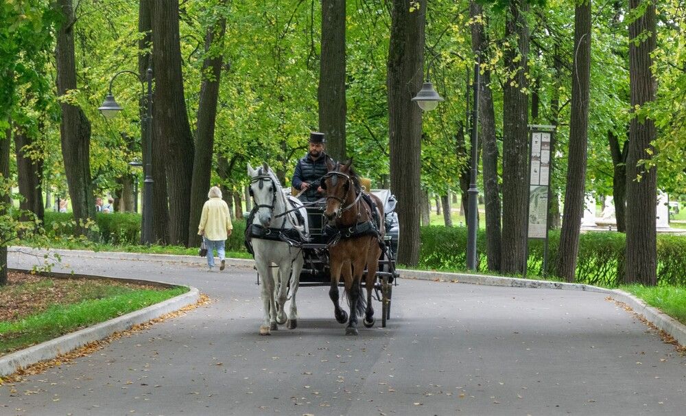 Photograph by Александр П