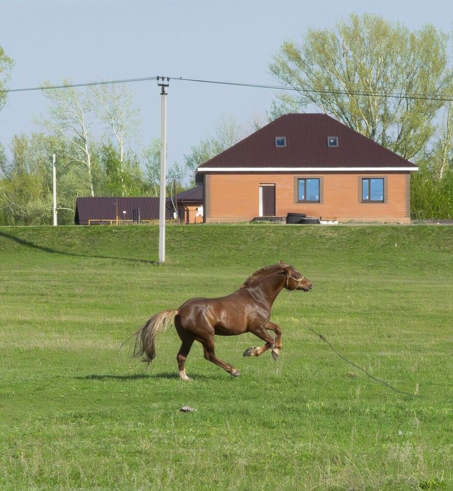 Photograph by Александр П