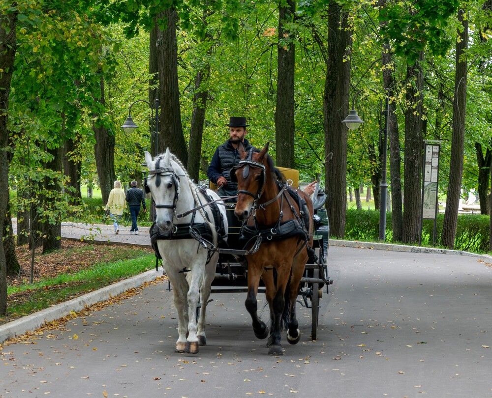 Photograph by Александр П