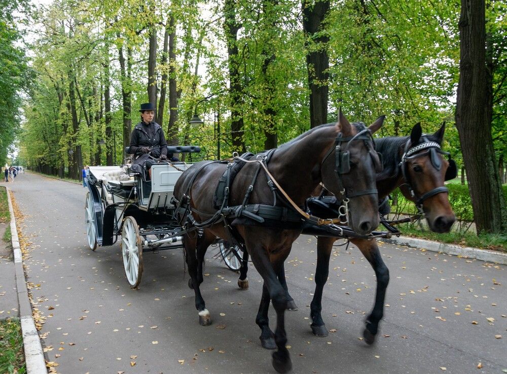 Photograph by Александр П