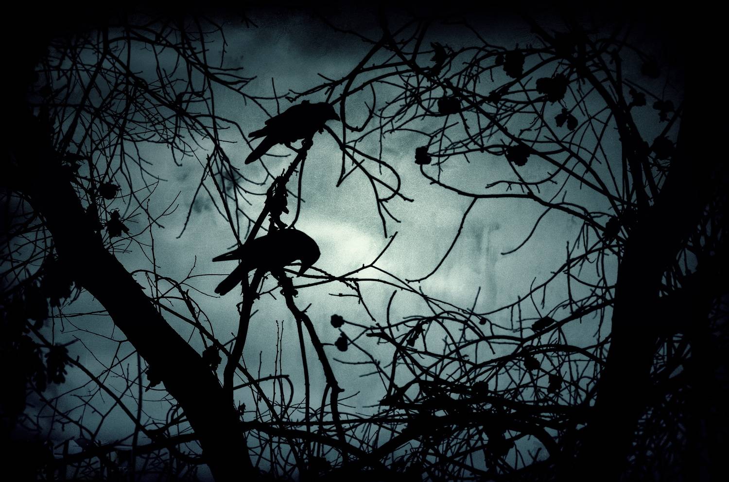 Фотография #13041047