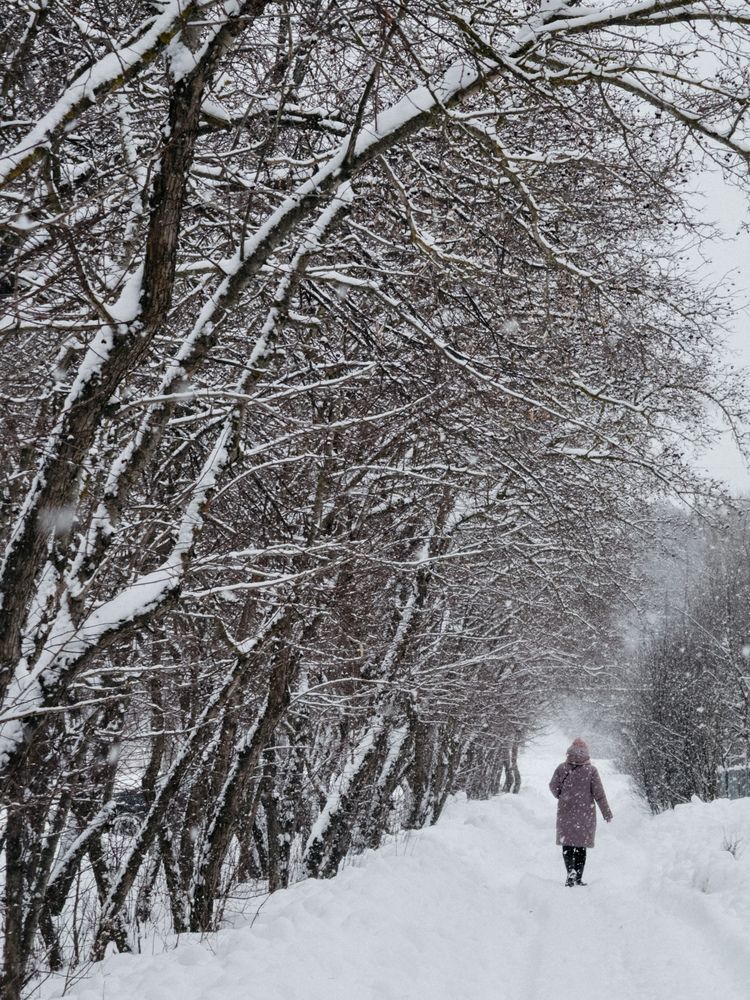 Фотография автора Анастасия Терехова