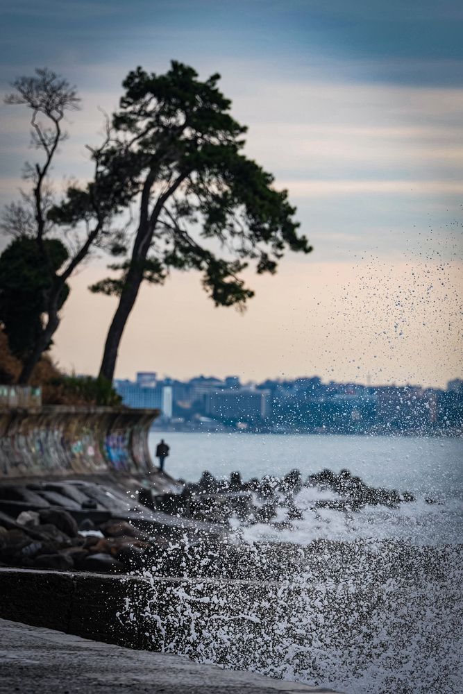 Фотография автора Андрей Груцинов
