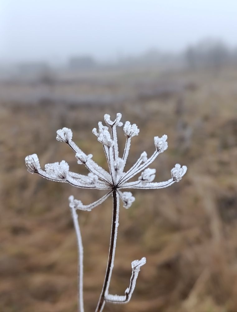 Photograph by Екатерина Супраненок