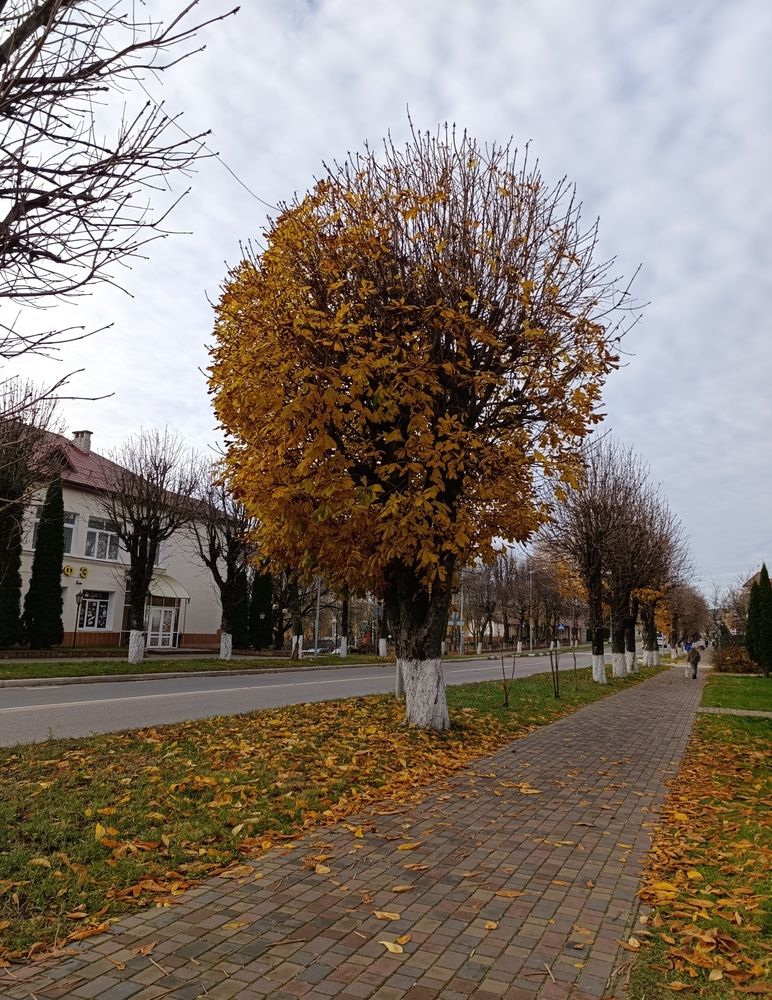 Photograph by Екатерина Супраненок