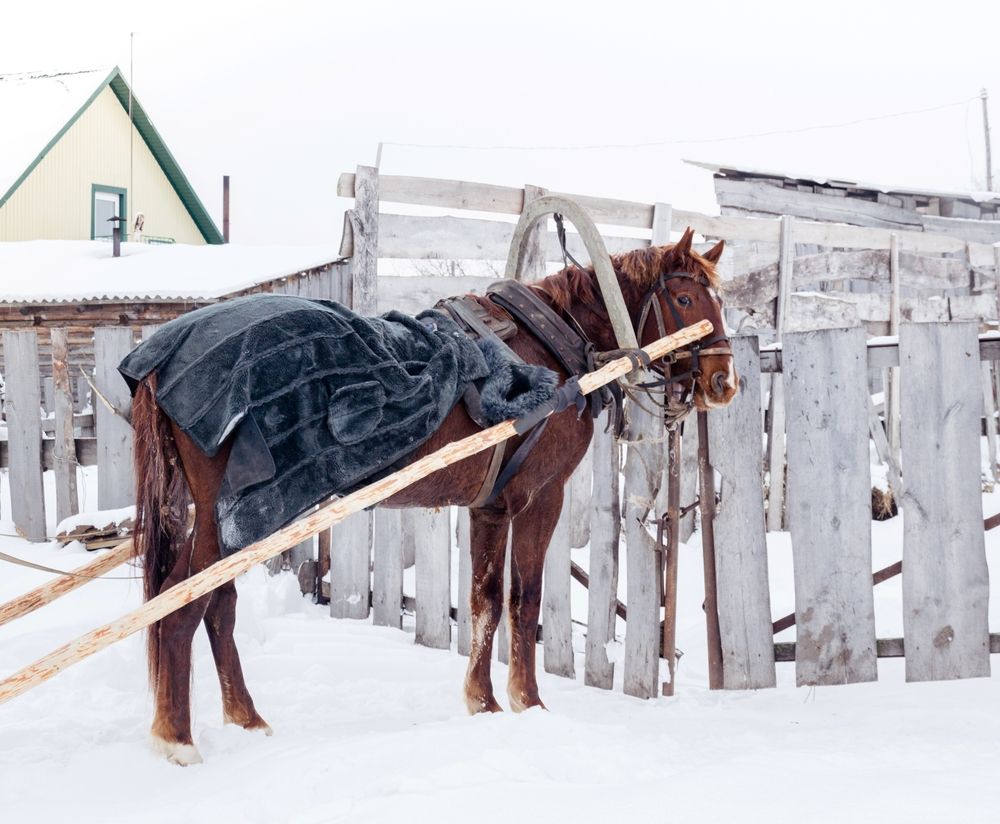 Фотография автора Анна Хабарова