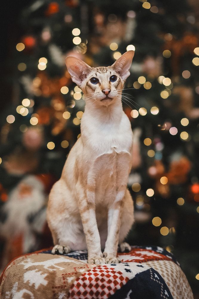 Фотография автора Марина Дятлова