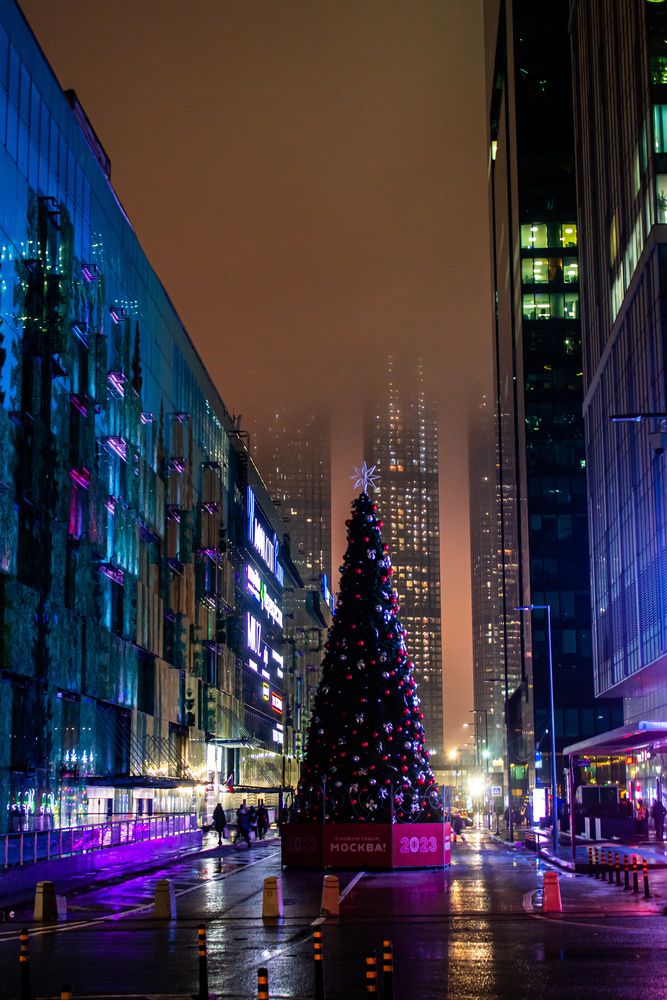 Фотография автора Денис Мартыновский