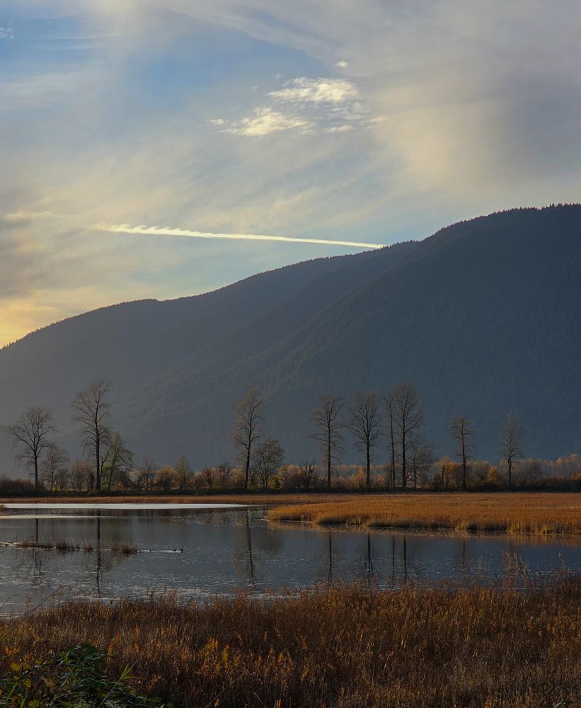 Photograph by Irina Sushkova