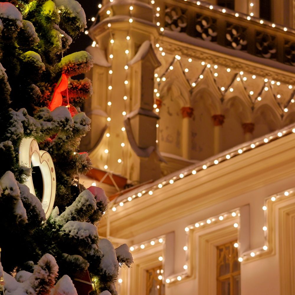 Фотография автора Галина Швыркова